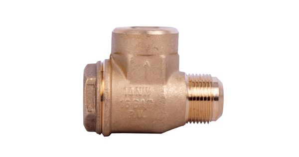 Non-return Valve 1'f - 1'm product image