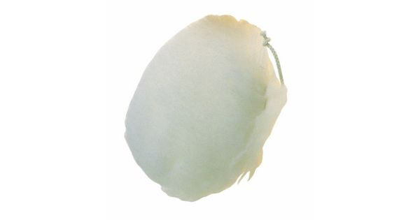 Lambswool Bonnet 190mm product image