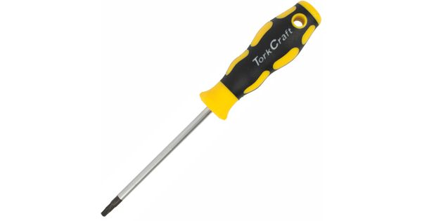 Screwdriver Torx T20 5 X100mm product image