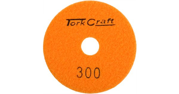 100mm Diamond Polishing Pad 300 Grit Dry Use product image